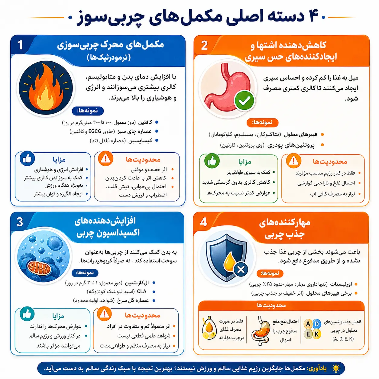 اینفوگرافیک مقایسه چهار نوع مکمل چربیسوز: ترموژنیک، تنظیمکننده اشتها، افزایشدهنده اکسیداسیون و مهارکننده جذب چربی